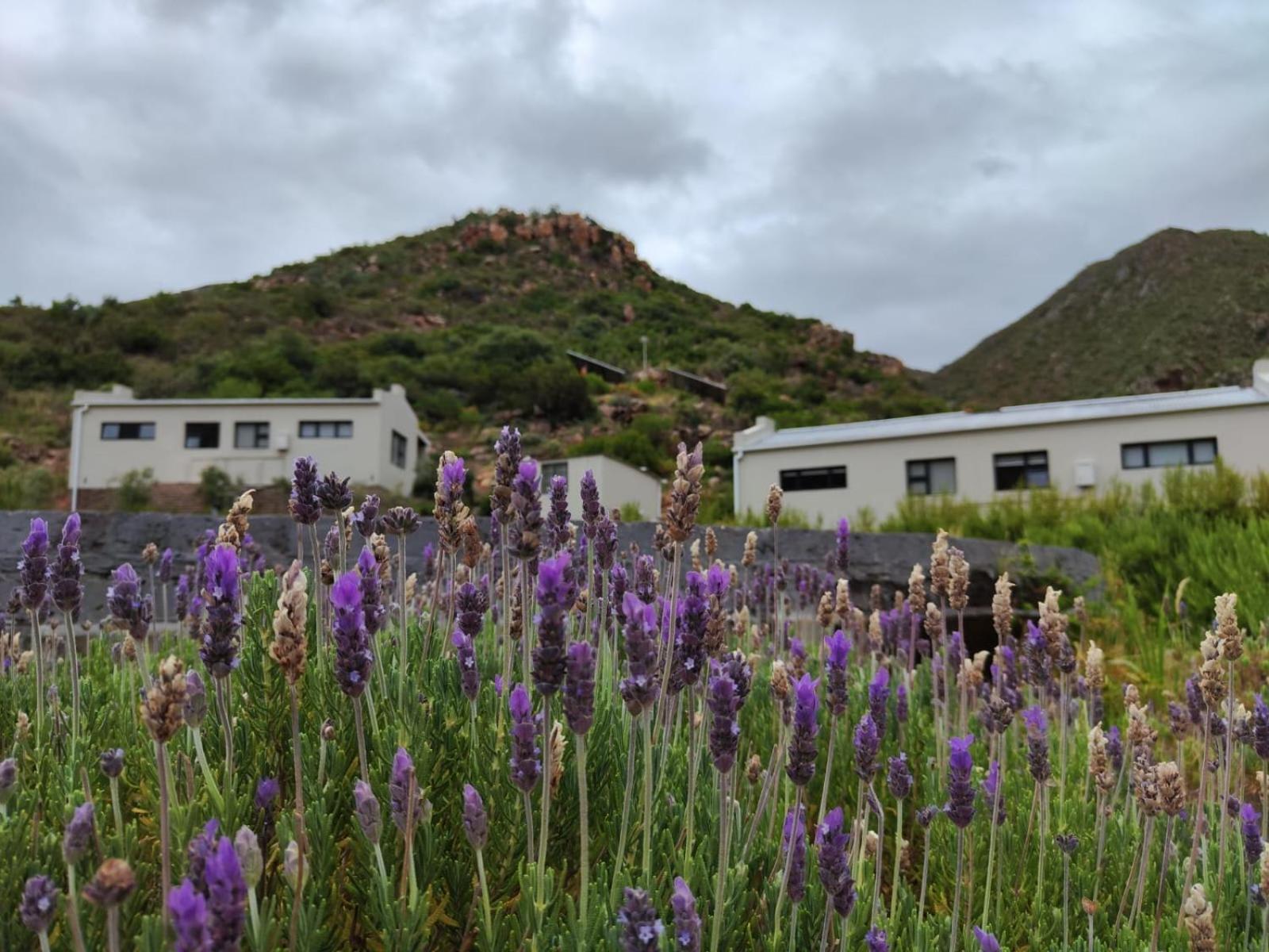 Ferienwohnung Roodekloof Montagu Exterior foto